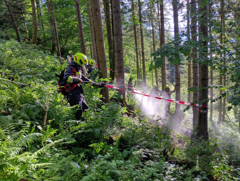 Gesamtübung: Waldbrand in Aigen
