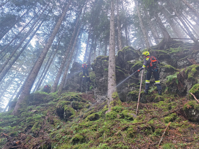 Gesamtübung | Waldbrandbekämpfung