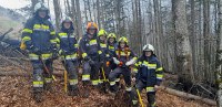 Waldbrand in Großreifling